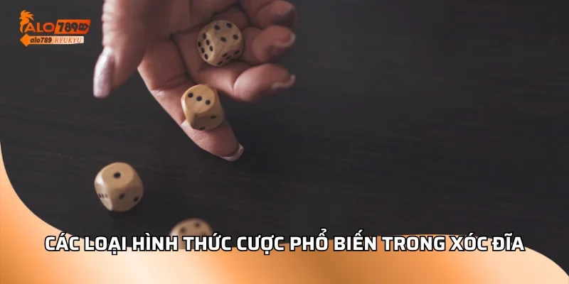 Các loại hình thức cược phổ biến trong xóc đĩa